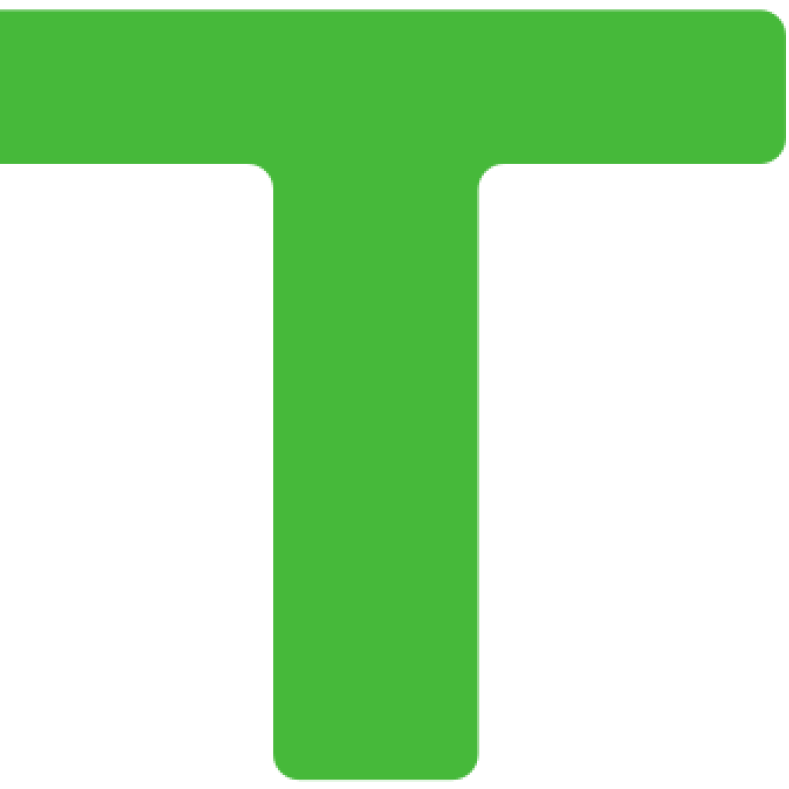 Festool Logo