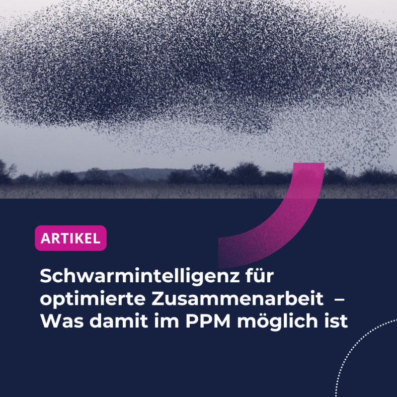 PLW-Artikel-Swarm-DE