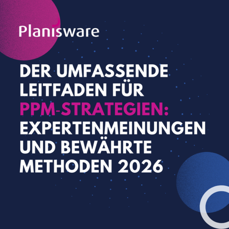 PPM Strategien