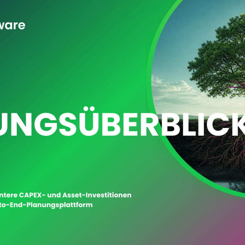 L&ouml;sungs&uuml;berblick Planisware Valoris