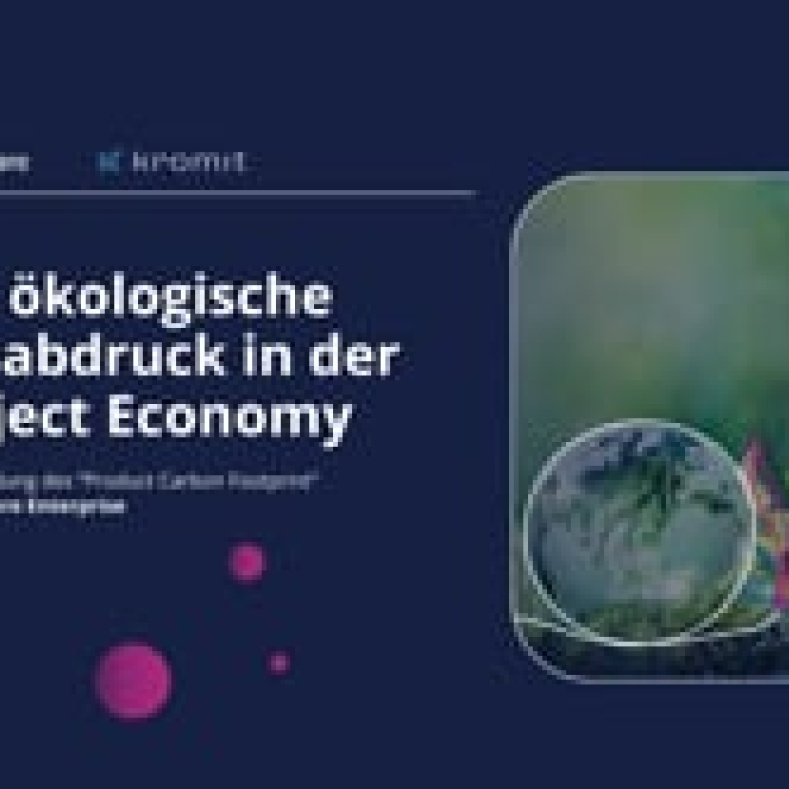Webinar: Der ökologische Fußabdruck in der Project Economy
