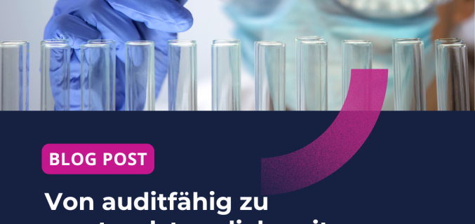 Von audithähig zu vorstandstauglich Hub Post