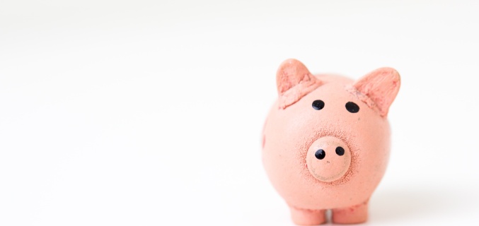 small play pig