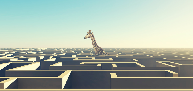 Giraffe in einem Labyrinth