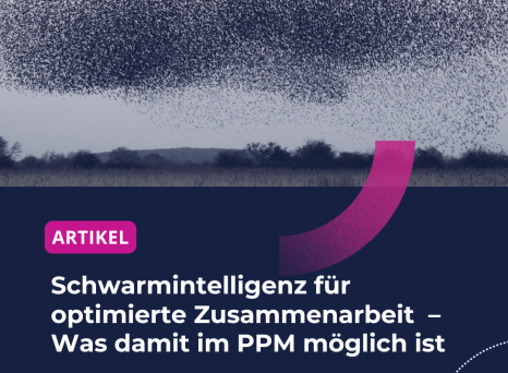 PLW-Artikel-Swarm-DE