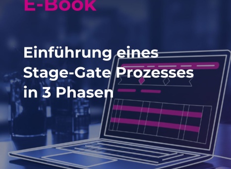 Stage-Gate Ebook DE
