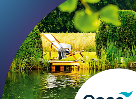 Foto von einem Gartenteich