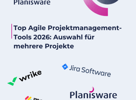 Top agile PPM