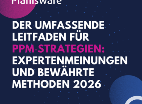 PPM Strategien
