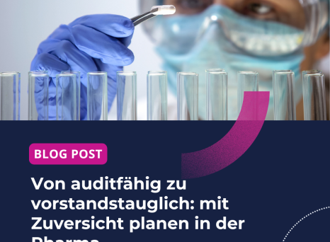 Von audithähig zu vorstandstauglich Hub Post