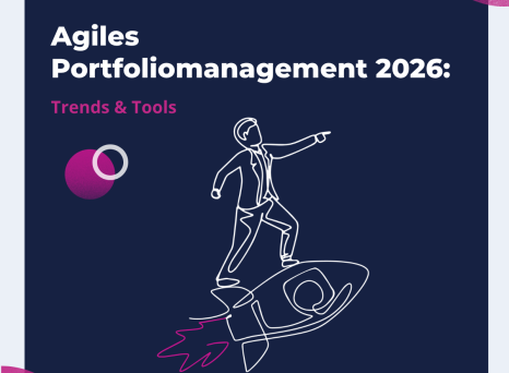 Agile Portfolio