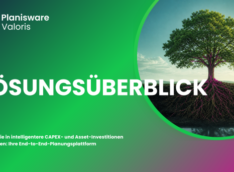 L&ouml;sungs&uuml;berblick Planisware Valoris